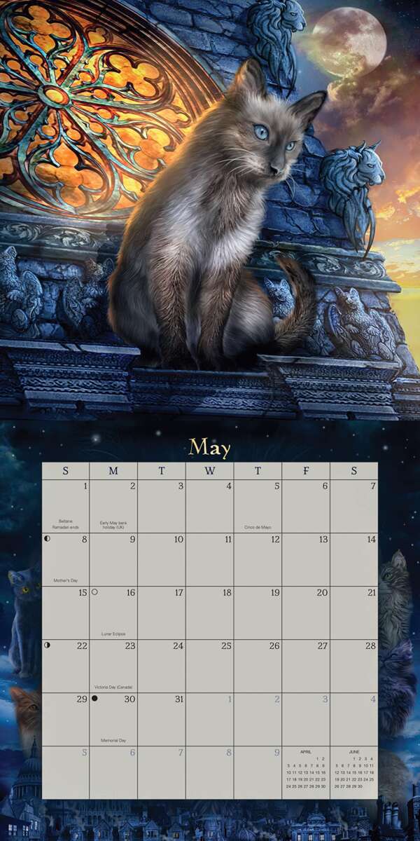 Llewellyn's 2023 Magical Mystical Cats Calendar / Календарь Магических Мистических Кошек 2023