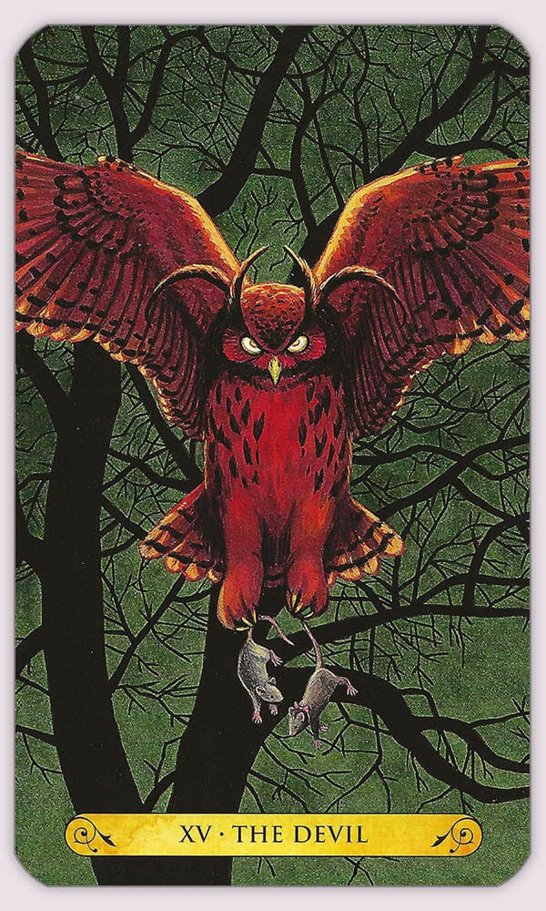 Tarot of the Owls / Таро Сов